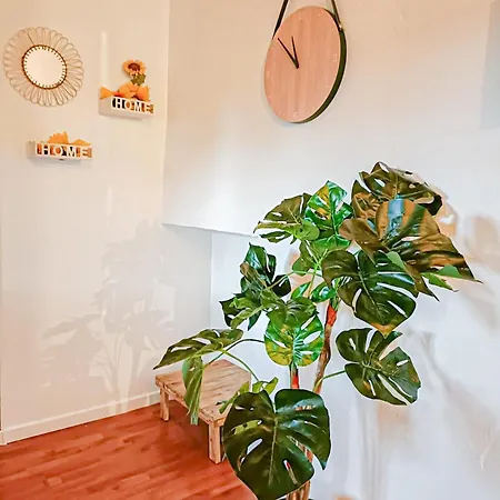 Appartamento Cosy Cinta 1ch - Centre Bosquet - Calme *